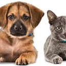 Belle Meade Animal Hospital - Veterinarians