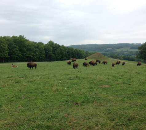 Hidden Valley Animal Adventure - Varysburg, NY