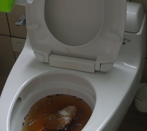 Choice Plumbing - Orlando, FL. Toilet was clogged and drain was blocked,  We called Choice Plumbing Orlando for service