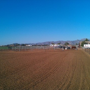 A & M Equestrian - Litchfield Park, AZ