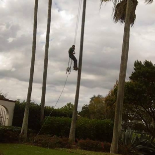 Jay's Quality Tree Service - Orlando, FL