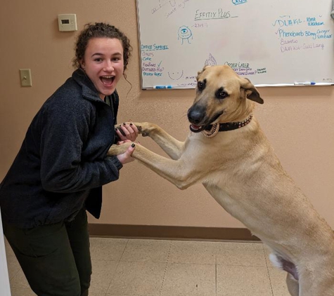 Animal Hospital of Colorado - Fort Collins, CO