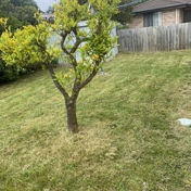 Gallery Image Number 2