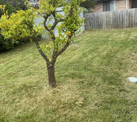 Jet Gardening & Home Maintenance - Margate, TAS