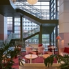 Downright Austin, A Renaissance Hotel gallery