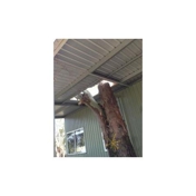 Gallery Image Number 1