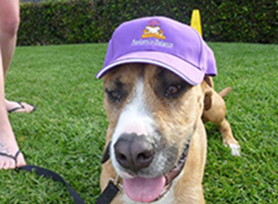 Warners Bay Vet - Warners Bay, NSW