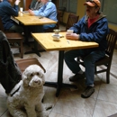 Dogs Ltd & Training - Pet Services