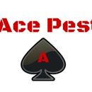 Ace Pest - Pest Control Services