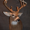 Whited Way Taxidermy - Taxidermists