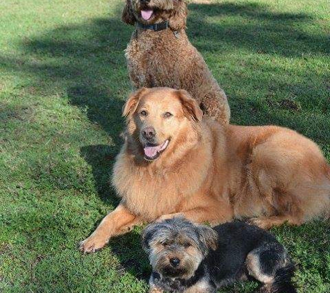 Happy Paws Ranch..dog boarding - North Fort Myers, FL