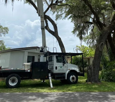 Diversified Tree Service - Leesburg, FL