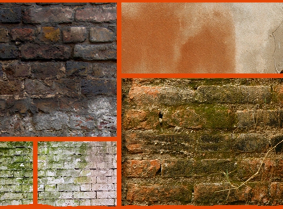 Rising Damp Solutions - Launceston, TAS. Australian-owned and operated.