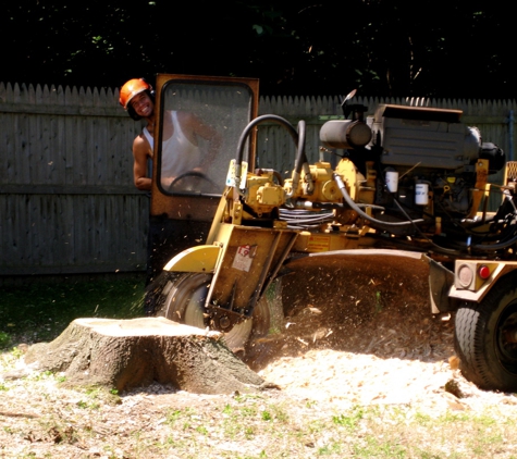 Joe Marra Tree Service - Kinnelon, NJ