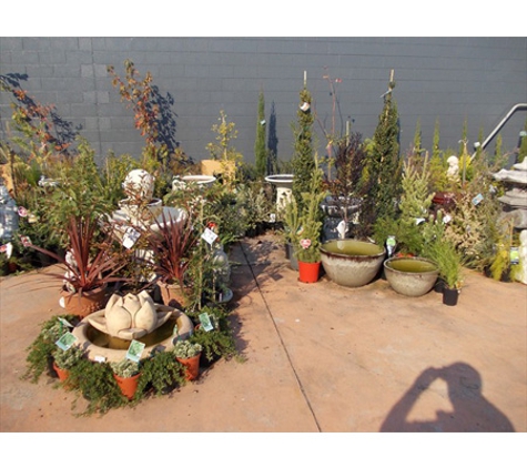 Shalimar Nursery - Colac, VIC
