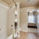 Lansbrook Apartments - Apartment Finder & Rental Service