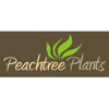 Peachtree Plants gallery