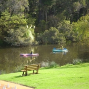 Gallery Image Number 6