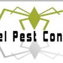 Xcel Pest Control - Pest Control Services