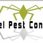 Xcel Pest Control