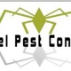 Xcel Pest Control