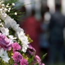 Stringer & Griffin Cremations - Crematories