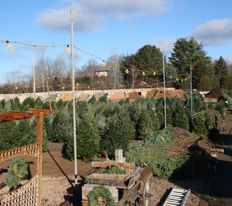 Mustard Seed Landscaping & Garden Center - Chaska, MN