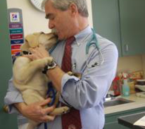 Bedford Animal Hospital - Bedford, NH