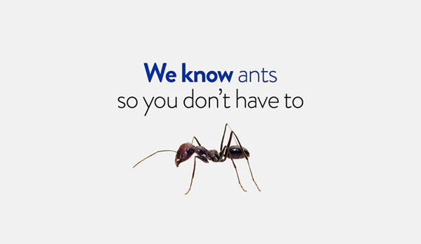 Termitrust Pest Control Brisbane - Zillmere, QLD