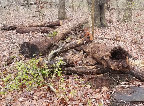 Airborne Tree Service - Bella Vista, AR