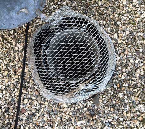 South Bay Rodent Proofing - San Jose, CA