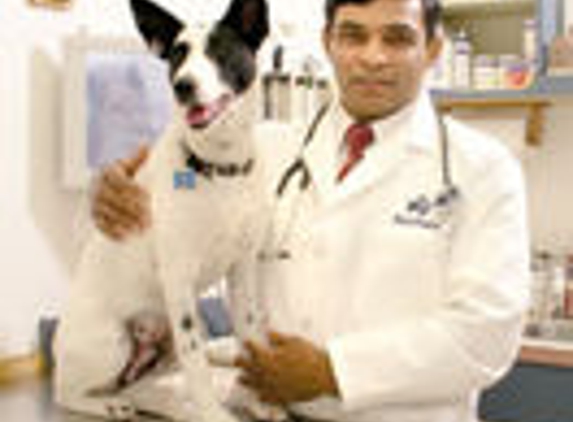 Affordable Pet Vet Clinic - Tracy, CA