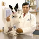 Affordable Pet Vet Clinic