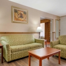 Quality Inn & Suites Conference Center - Motels