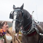 Black Tie Carriage Service