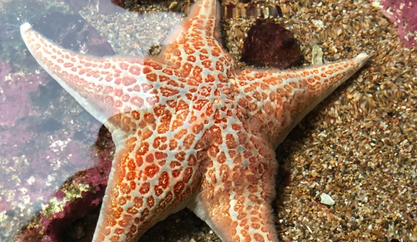 Hatfield Marine Science Center - Newport, OR