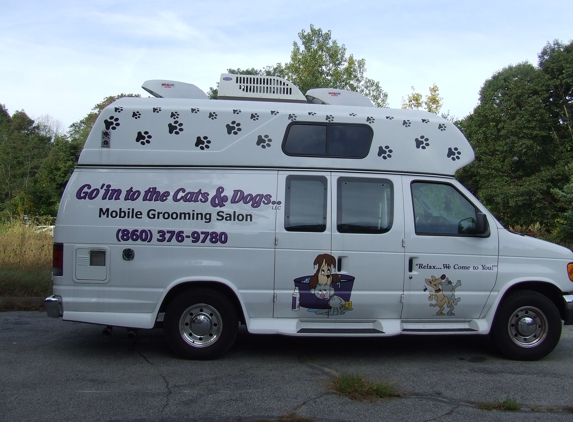 Go'in to the Cats & Dogs LLC - Jewett City, CT