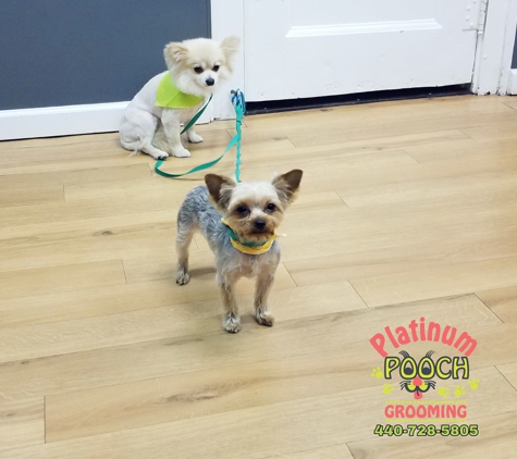 Platinum Pooch Grooming - Cleveland, OH. #BOOBOO #Pomeranian & #LUNA #Yorkie
#ClevelandGrooming #OhioGroomer 
#PlatinumPoochGrooming #WeLoveDirtyPoochies 
#DogGrooming 
#PetGrooming #ClevelandGrooming 
#CatGrooming #DogGroomer #DogHairCut #AnimalLovers #DogHairStyle #OldBrooklynPetGrooming
Contact us 
440-728-5805
www.platinumpoochcle.com