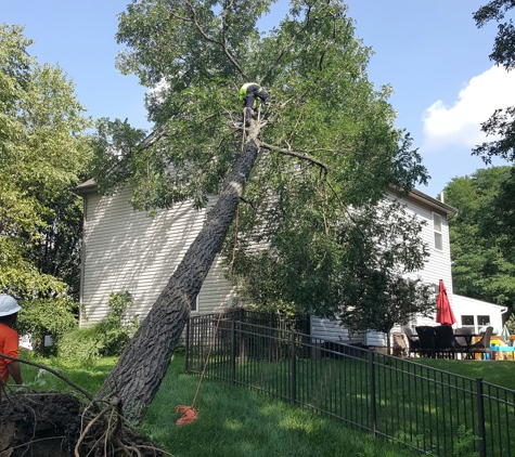 Ohio Valley Tree Experts LLC - Dayton, OH