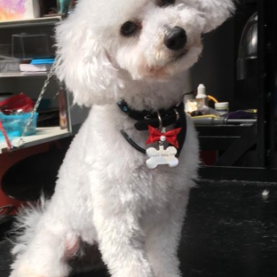 Superb Dog Grooming - Wheelers Hill, VIC