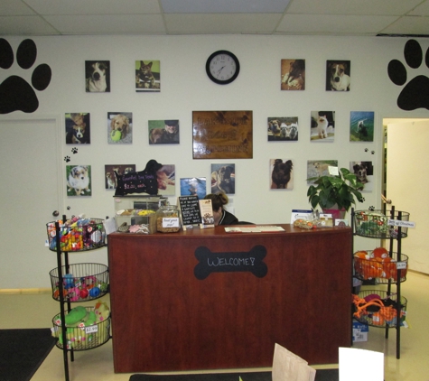 Lakeside Dog Grooming Of Sterling Heights - Sterling Heights, MI