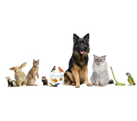 Valley Veterinary Surgery Pty Ltd - Walkerston, QLD