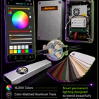 Permanent Lighting PDX