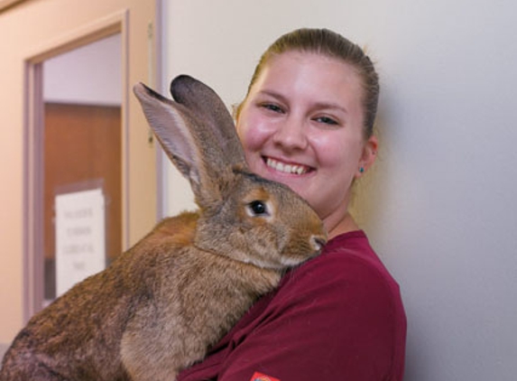 Rainbow Veterinary Hospital Inc. - Burbank, CA