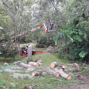 A Advanced Tree Service - Palm Bay, FL