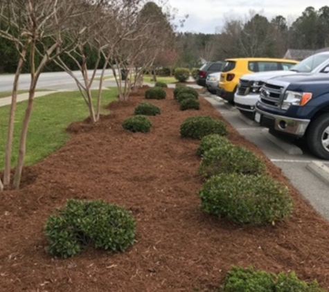 A & M Landscaping and Grading - Clayton, NC