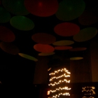 Bodega Wines Bar