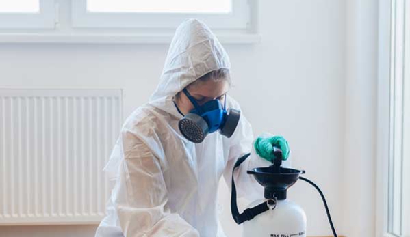 Affordable Pest Control - Nowra, NSW