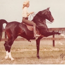 Liz Langford Arabians - Horse Training