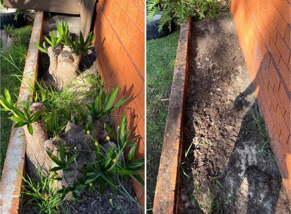 Southside Stump Grinding- Stump Removal Wollongong - Wollongong, NSW. Tight/Narrow access yucca stump removal service